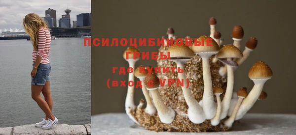 mdma Новозыбков