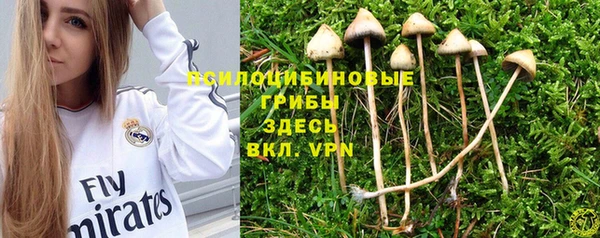 прущая мука Алексин